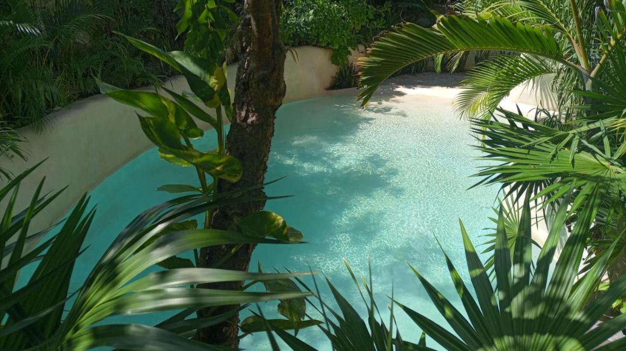 New Luxury Suite Con Plunge Pool Privado Tulum Dış mekan fotoğraf
